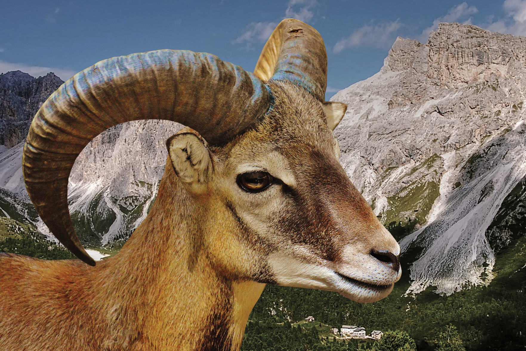 SPOOF: horoscope